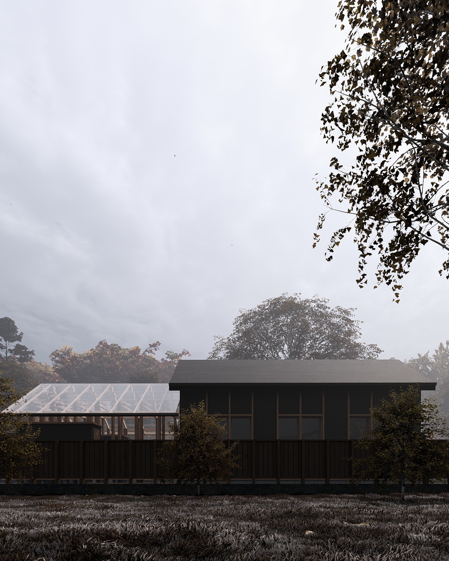 Poiana Roșie Holiday Home — 4