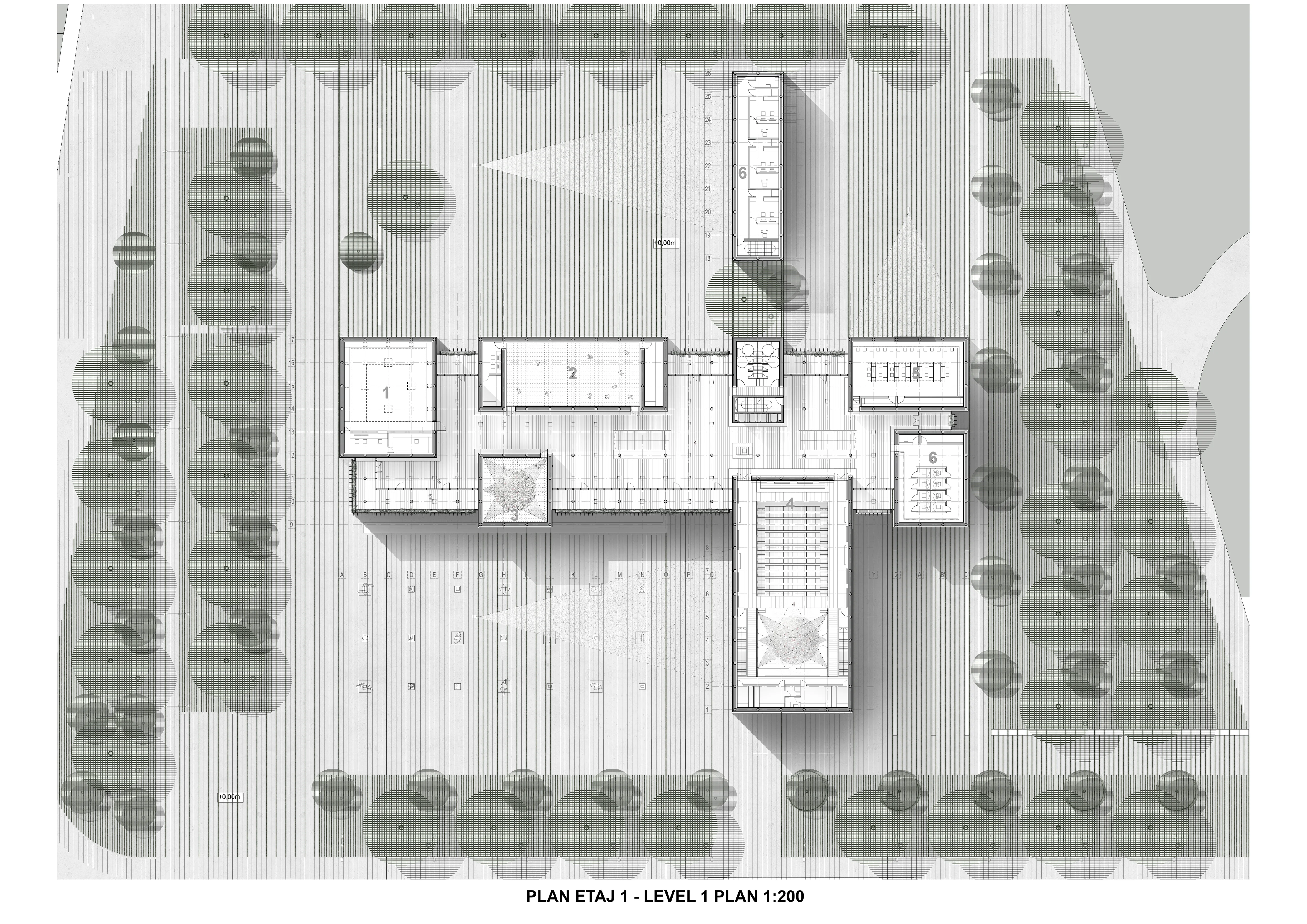 Târgu-Jiu Experimental Art Centre — 6